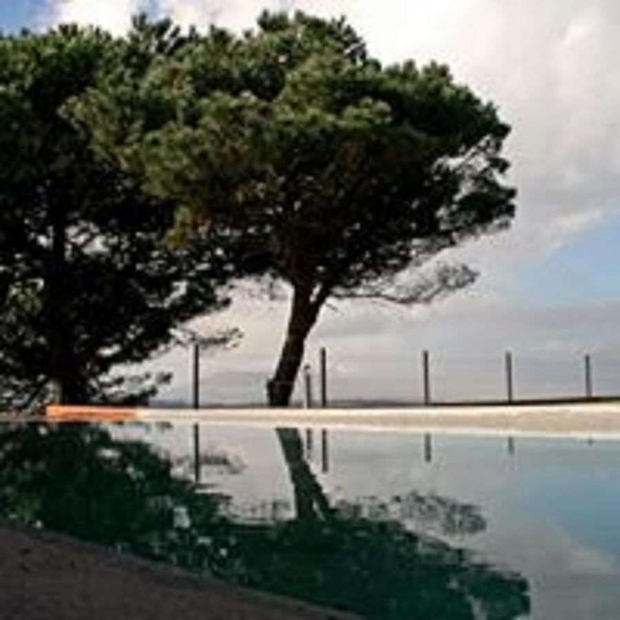 Shepinetree - Pinheira Hotel Vale de Lobos Eksteriør billede